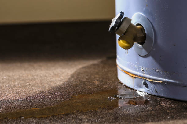 Best Flooded house restoration  in Luverne, MN
