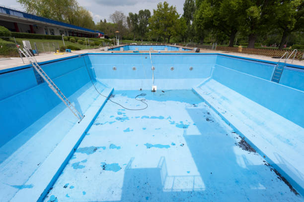 Best Water damage contractors near me  in Luverne, MN