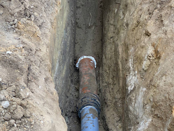 Best Flood damage cleanup  in Luverne, MN