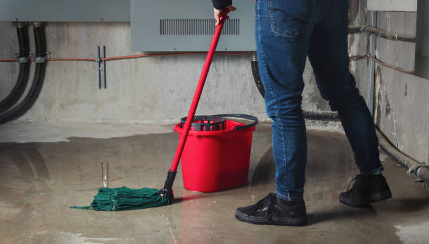 Best Sewage cleanup and water damage restoration  in Luverne, MN