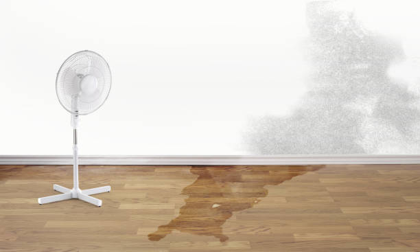24/7 water damage repair in Luverne, MN