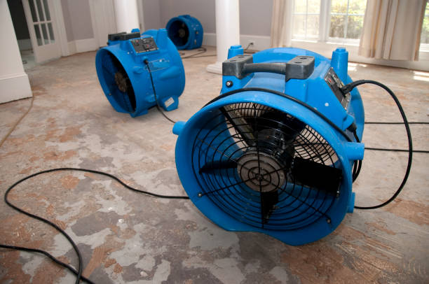 Professional Water damage restoration in Luverne, MN