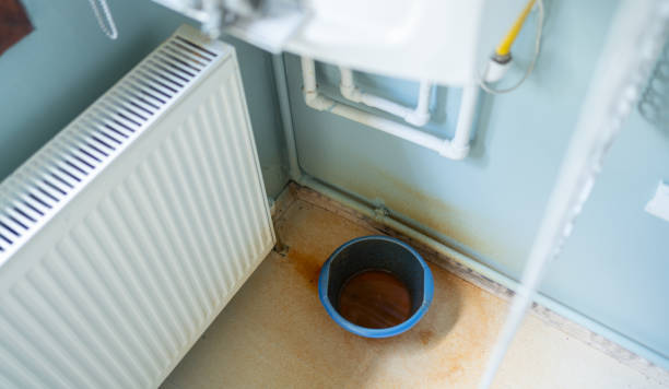 Best Sewage cleanup and water damage restoration  in Luverne, MN