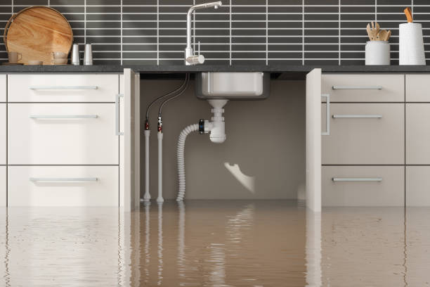 Best Water damage restoration process  in Luverne, MN