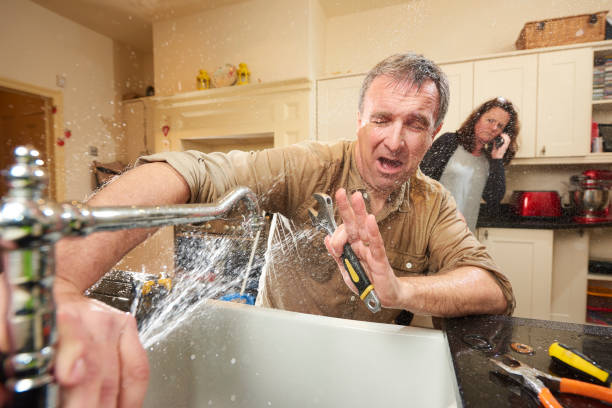 Best Flood damage cleanup  in Luverne, MN